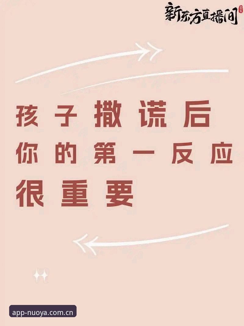 诺亚体育中文比分站使用指南 说实话,我一开始对